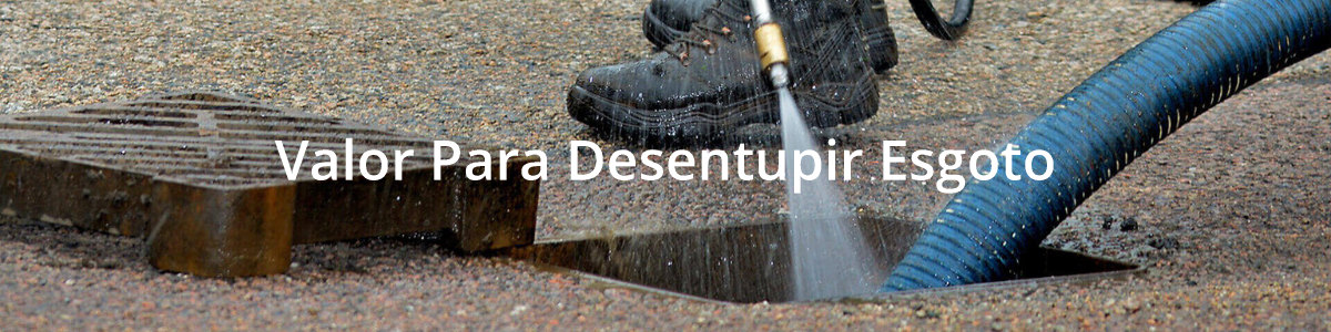 Valor Para Desentupir Esgoto